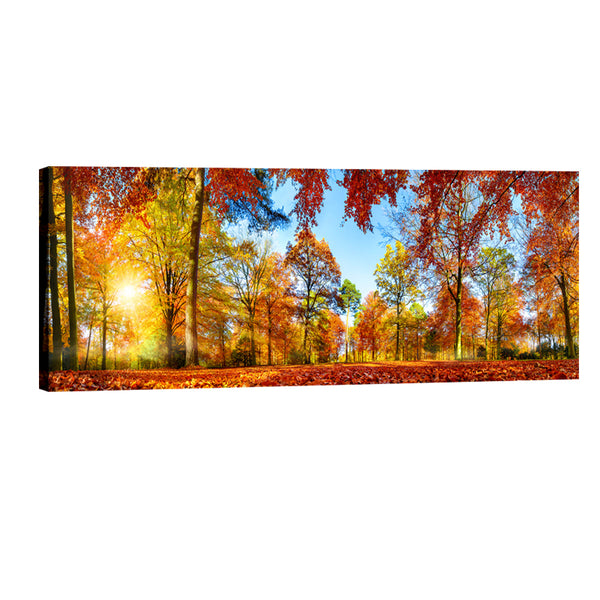 Large Autumn Sunset Forest Canvas Prints