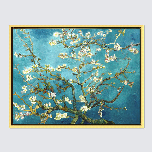 vincent almond blossom