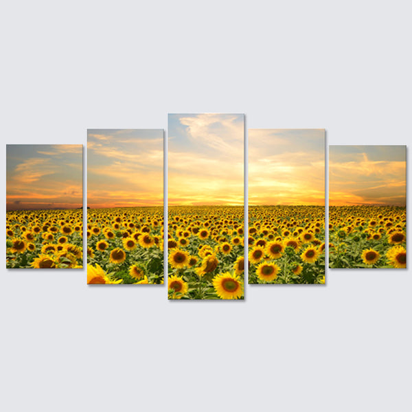 sunflower prints