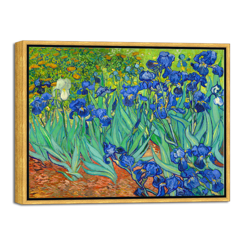 Black Framed Irises-Modern Floral Canvas Print By Van Gogh
