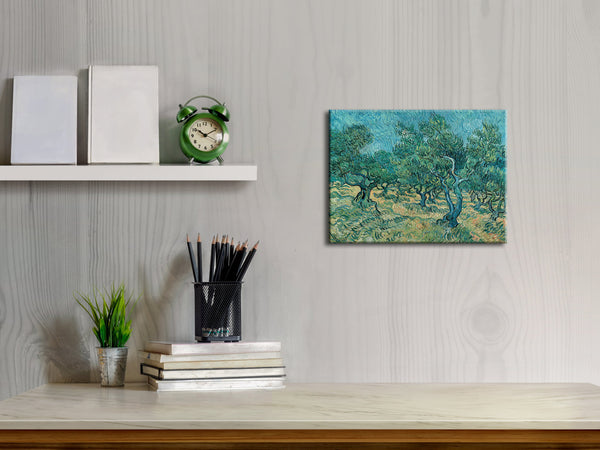 Olive Grove 2 Canvas Print of Vincent Van Gogh