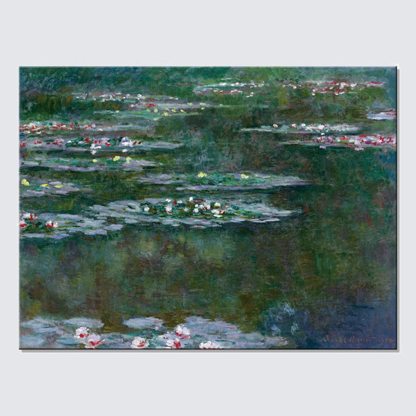 water lily monet