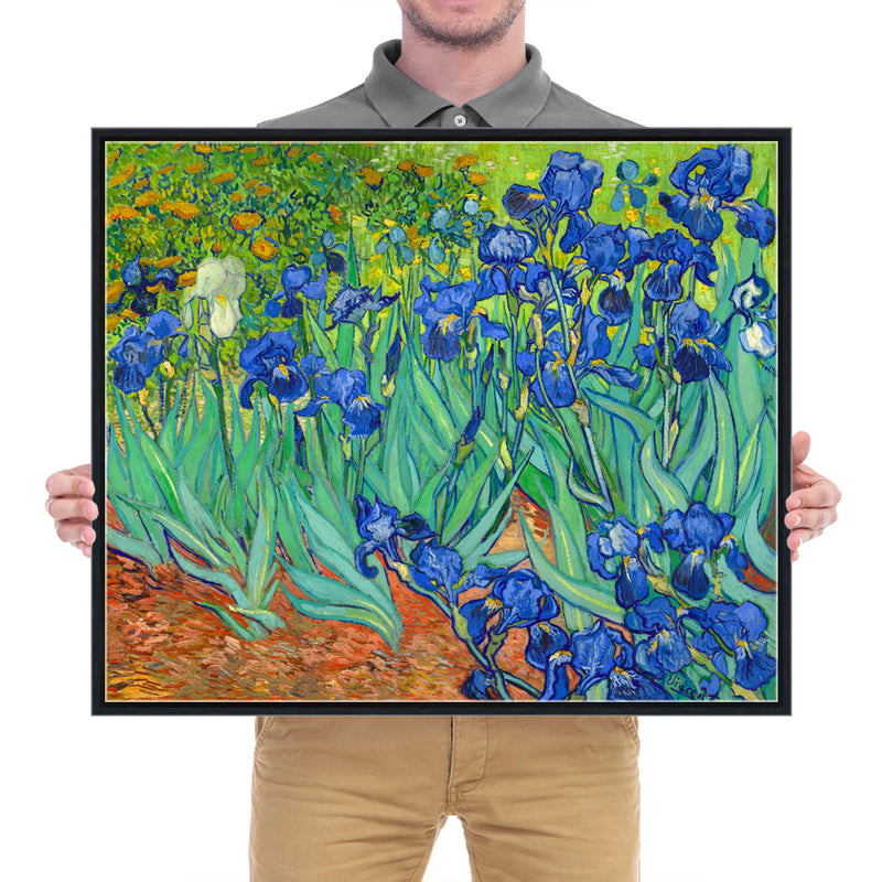 Black Framed Irises-Modern Floral Canvas Print By Van Gogh