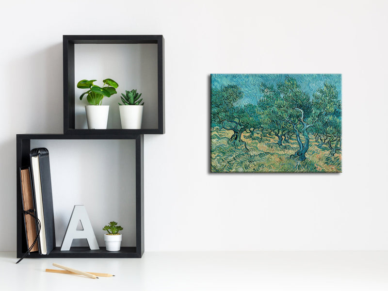 Olive Grove 2 Canvas Print of Vincent Van Gogh